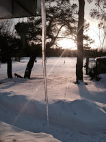 icicle and sun